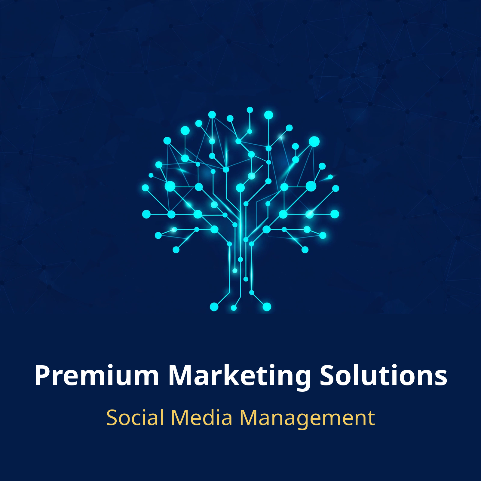 Premium Marketing Solutions logo