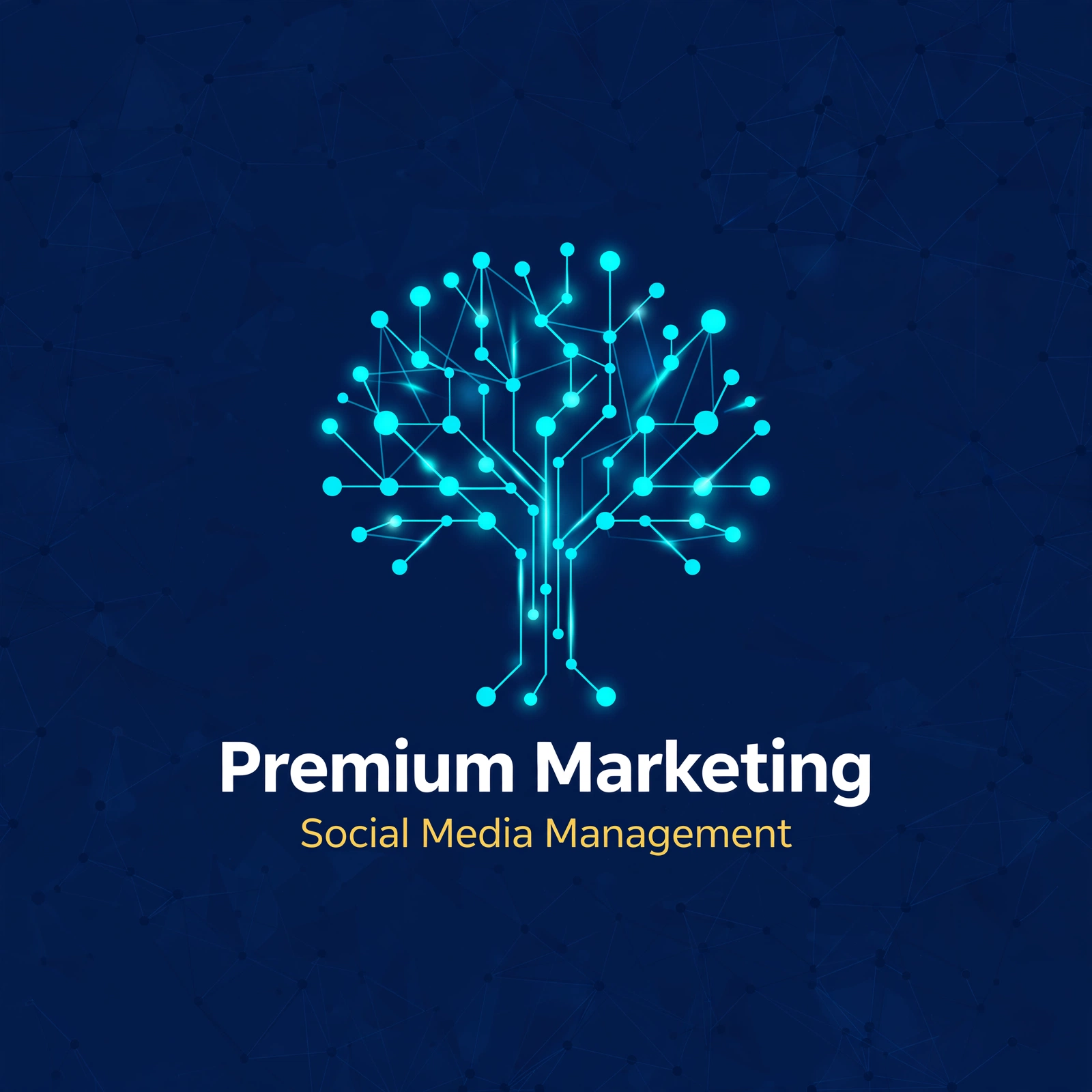 Premium Marketing Solutions